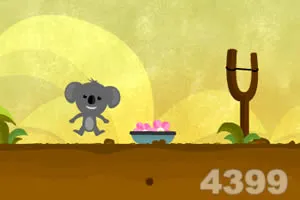 风险声明与合规展示